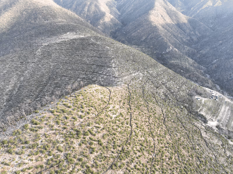 Imagen de Obras de Suelo, Nuevo León