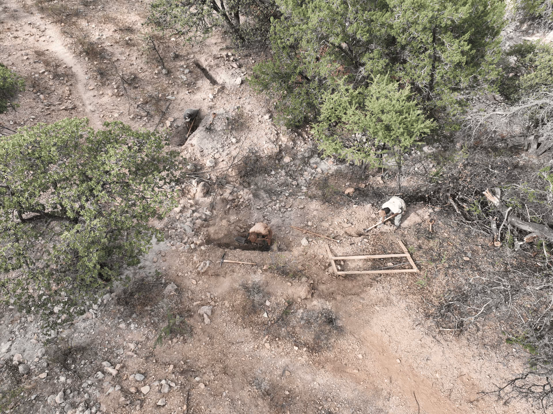 Imagen de Chihuahua