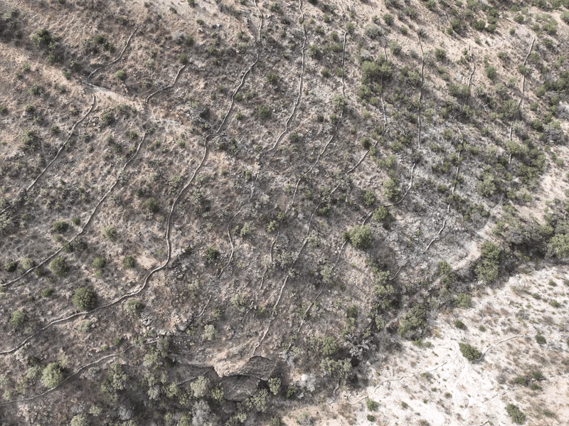 Imagen de San Vicente, Chihuahua