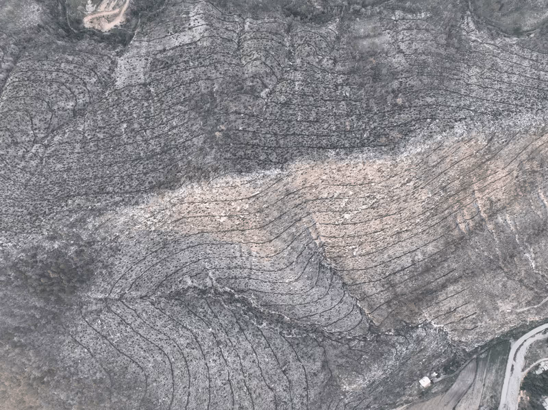 Imagen de Obras de Suelo, Nuevo León