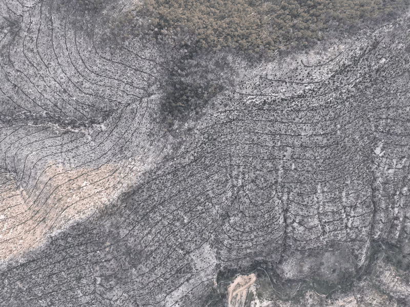 Imagen de Obras de Suelo, Nuevo León