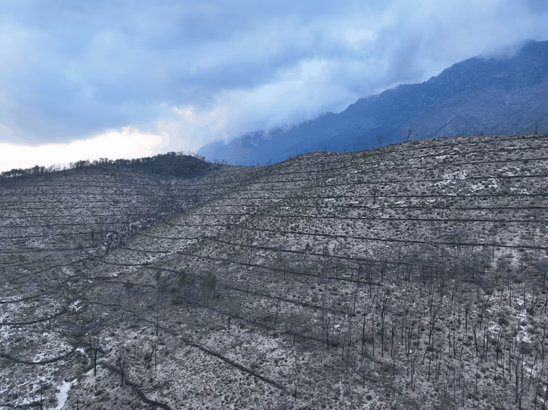 Imagen de Obras de Suelo, Nuevo León