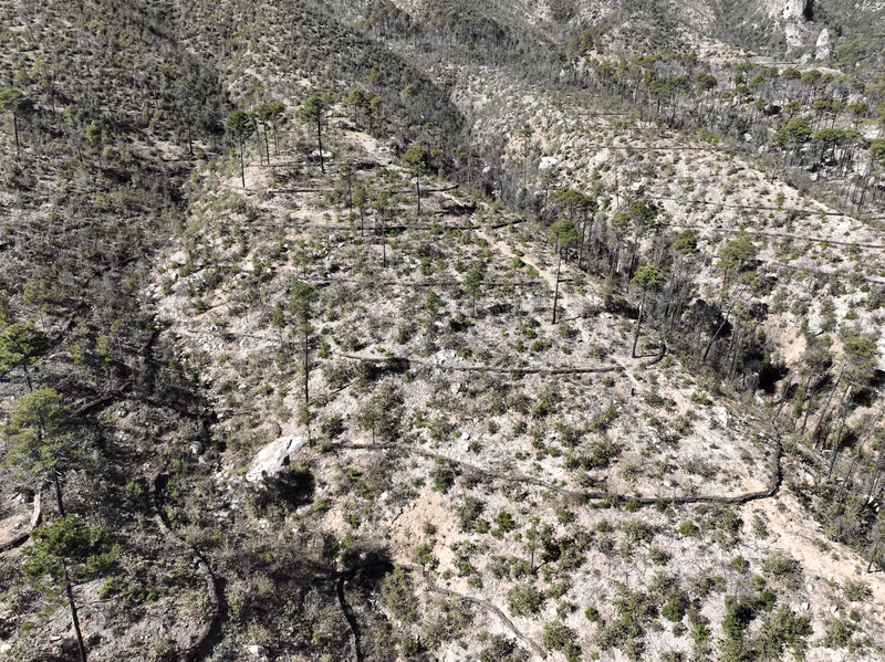 Imagen de Obras de Suelo, Nuevo León