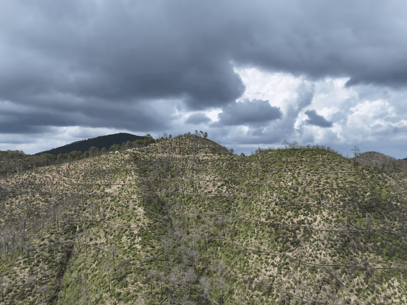 Imagen de Obras de Suelo, Nuevo León