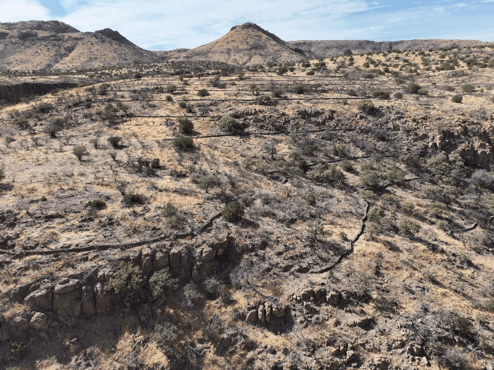 Imagen de Chihuahua