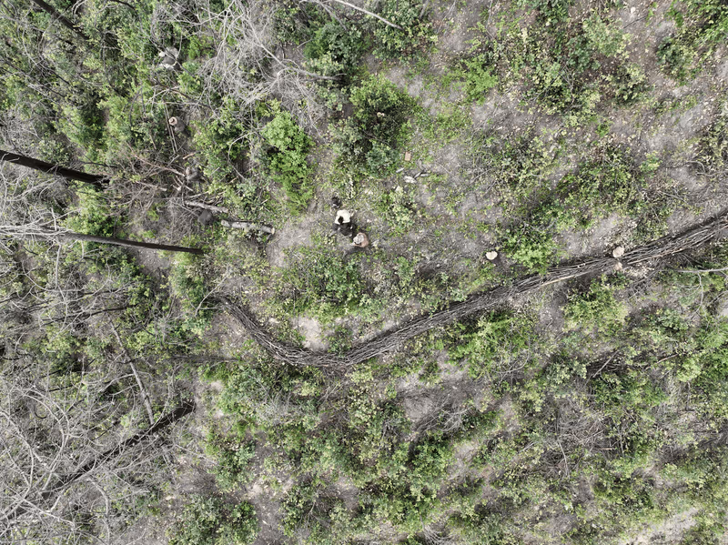 Imagen de Obras de Suelo, Nuevo León