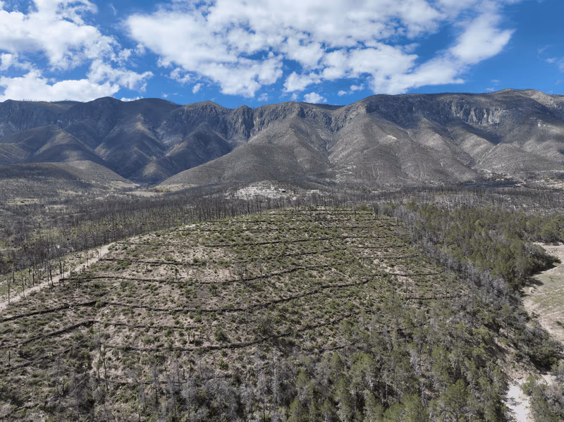 Imagen de Obras de Suelo, Nuevo León