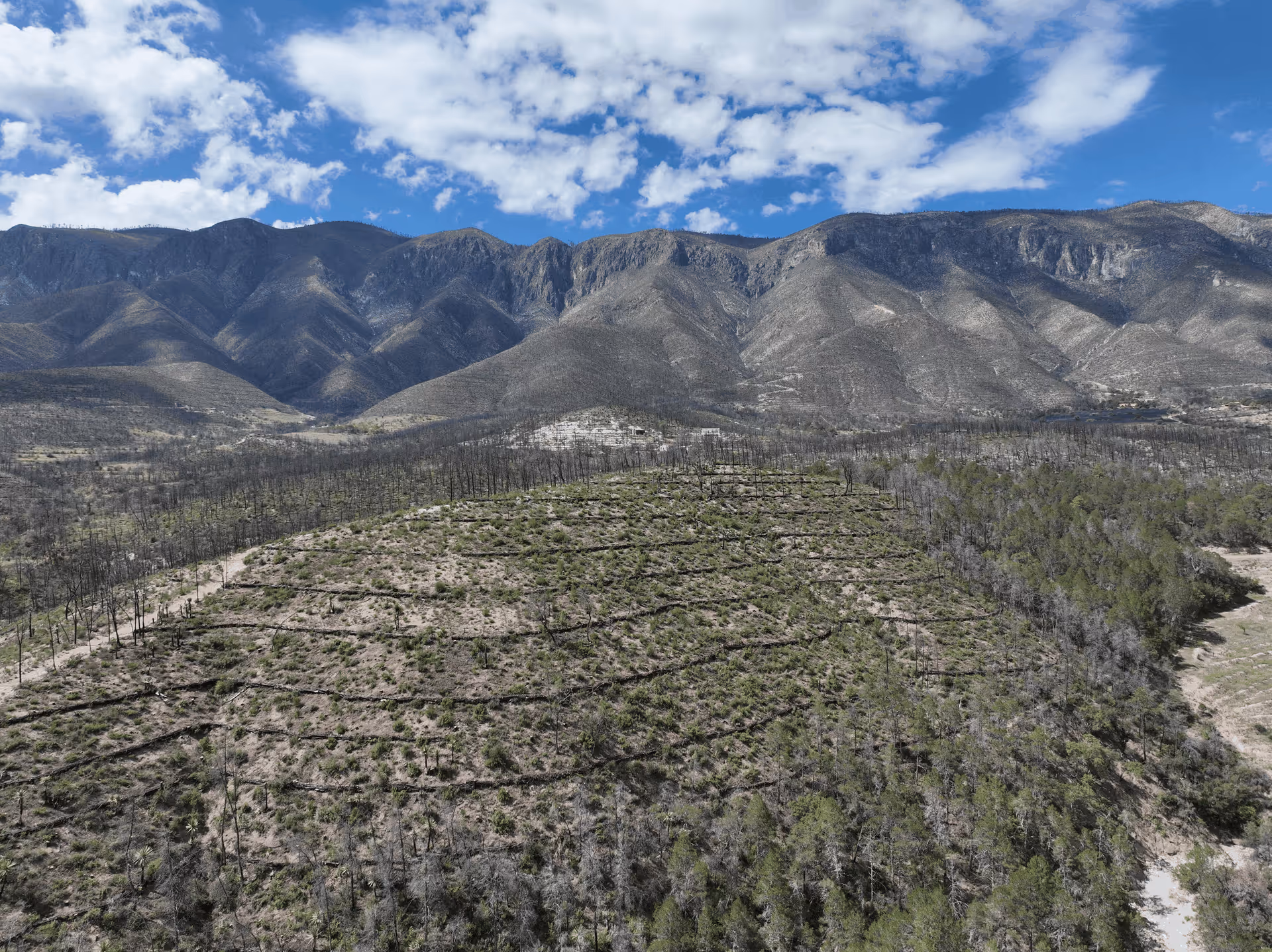 Imagen de Obras de Suelo, Nuevo León