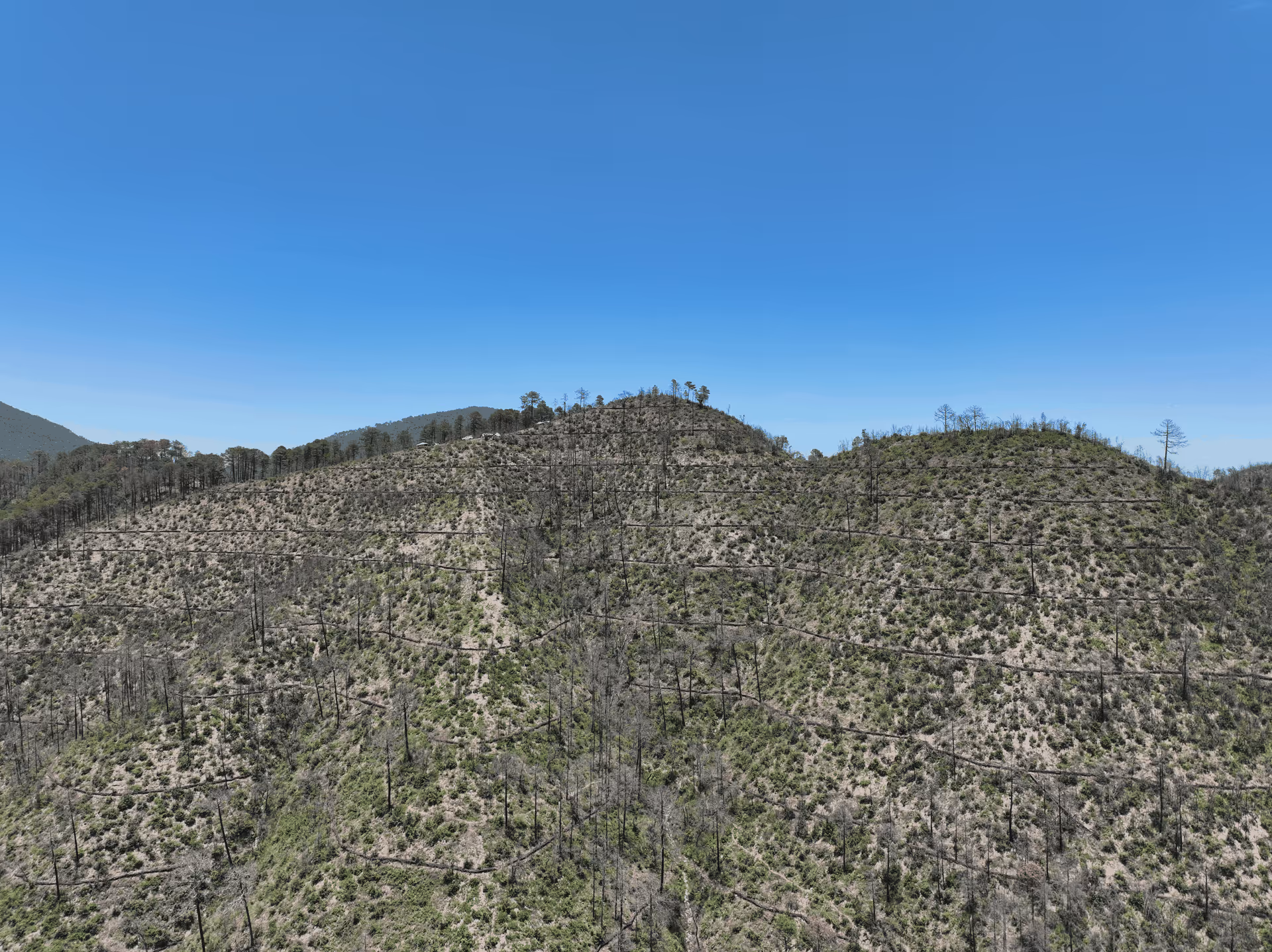 Imagen de Obras de Suelo, Nuevo León