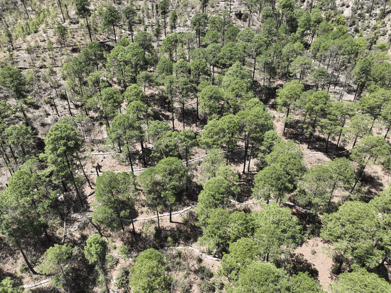 Imagen de Obras de Suelo, Nuevo León