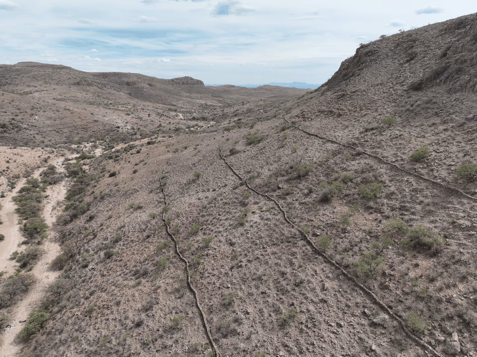 Imagen de Chihuahua