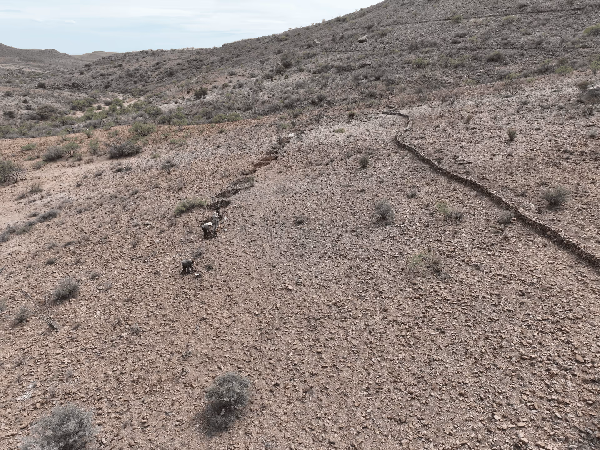 Imagen de Chihuahua