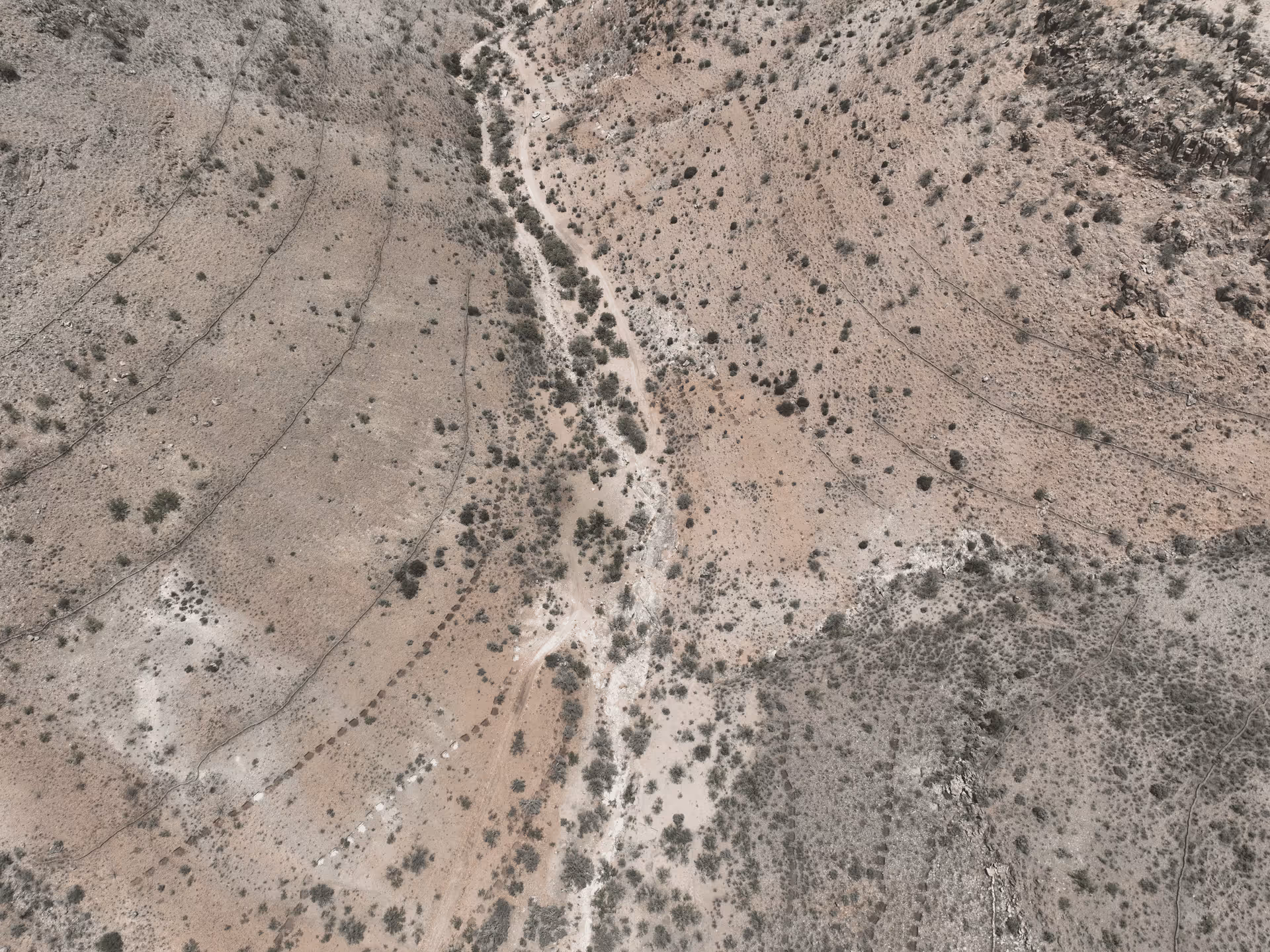 Imagen de Chihuahua