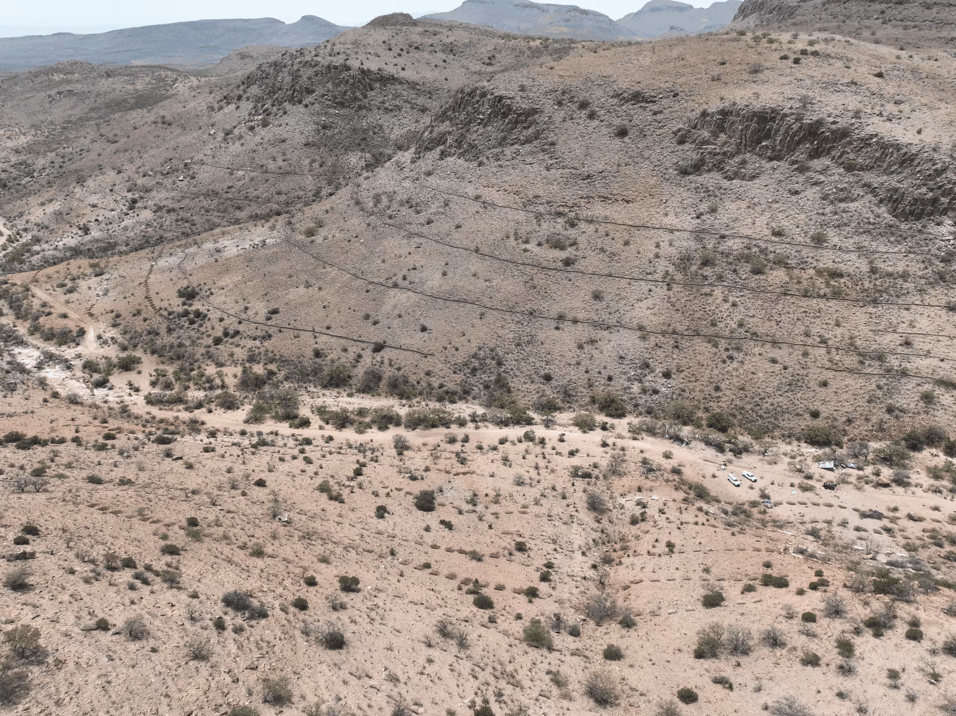 Imagen de Chihuahua