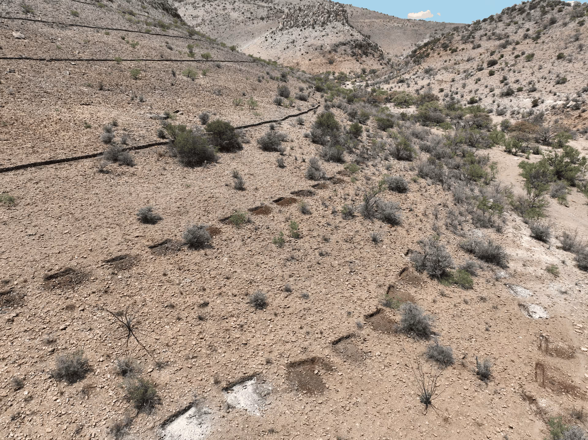 Imagen de Chihuahua