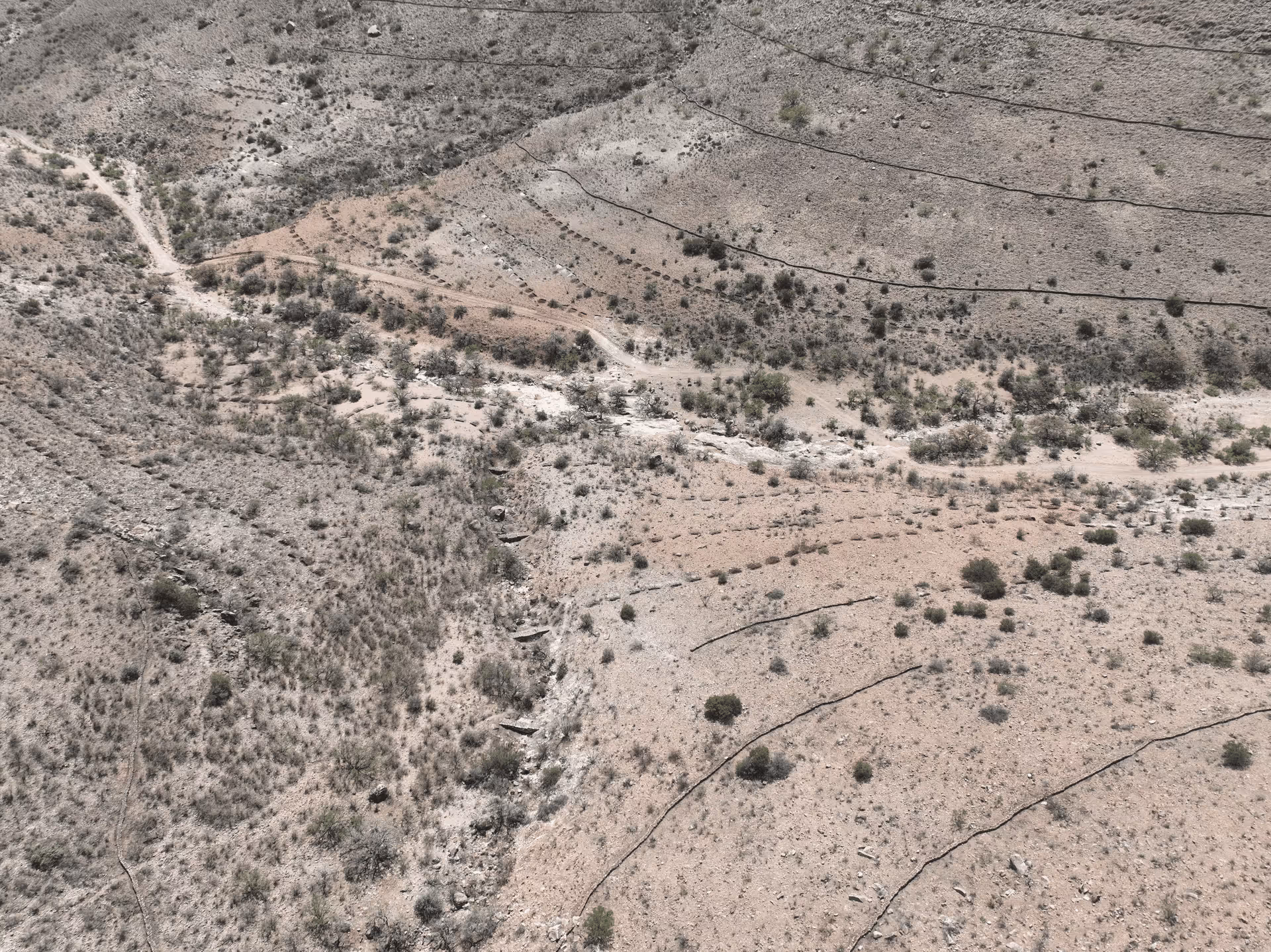 Imagen de Chihuahua