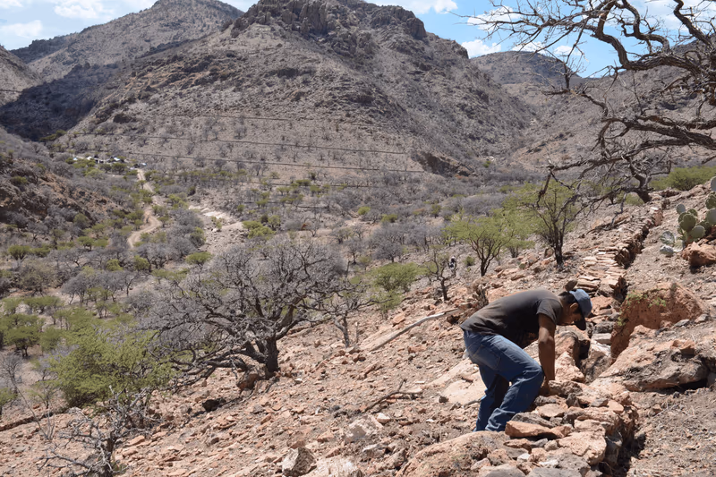 Imagen de Ejido Corral de Piedra, Chihuahua