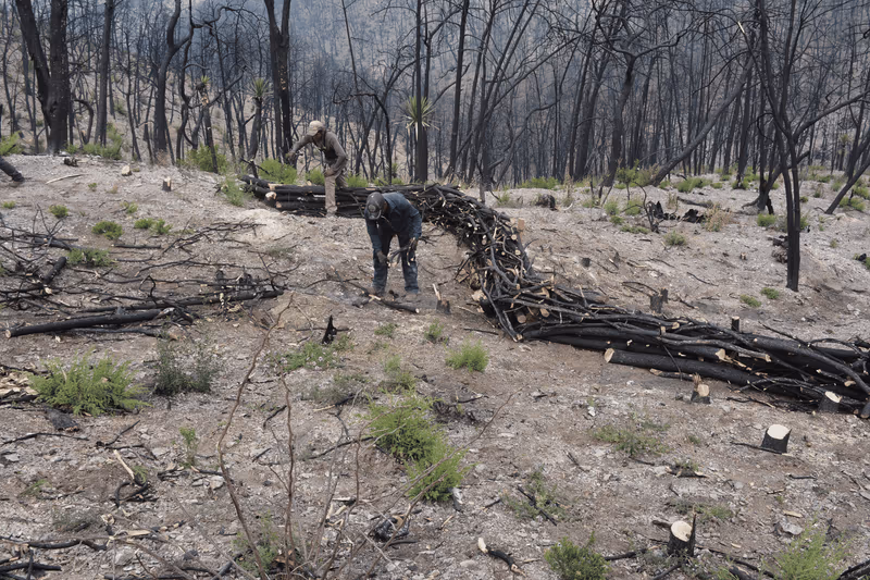 Imagen de Obras de Suelo, Nuevo León