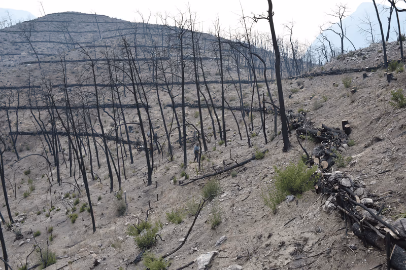 Imagen de Obras de Suelo, Nuevo León