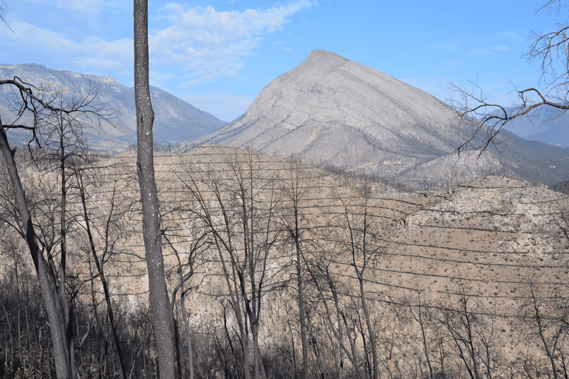 Imagen de Obras de Suelo, Nuevo León