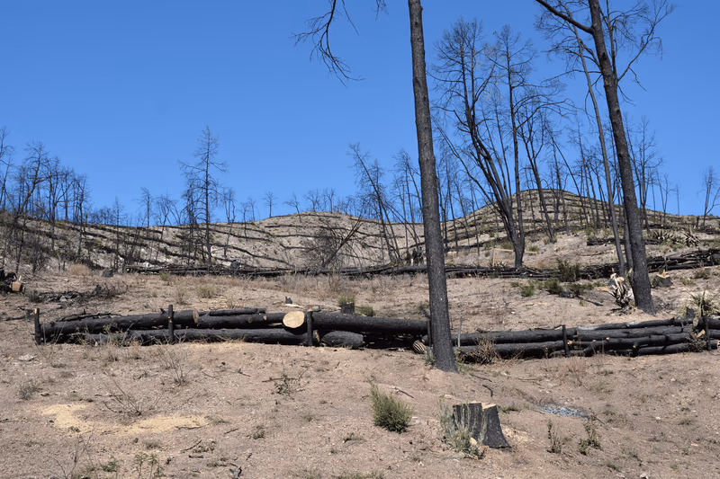 Imagen de Obras de Suelo, Nuevo León