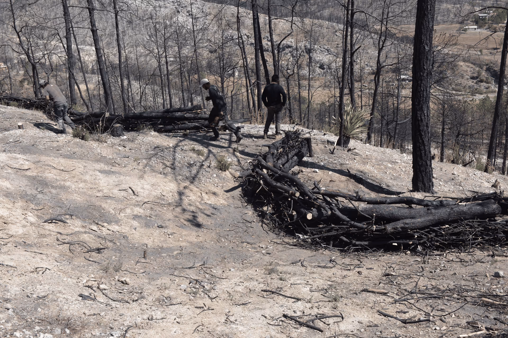 Imagen de Obras de Suelo, Nuevo León
