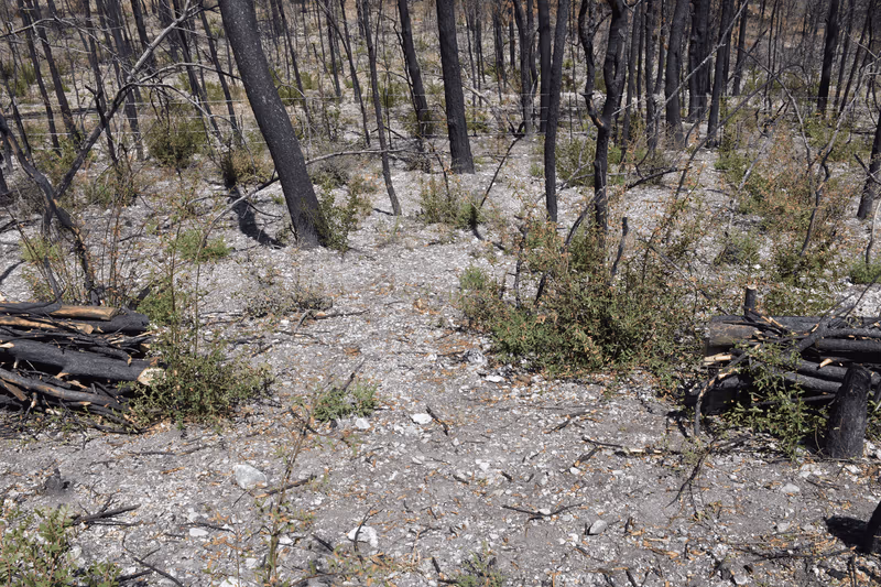 Imagen de Obras de Suelo, Nuevo León