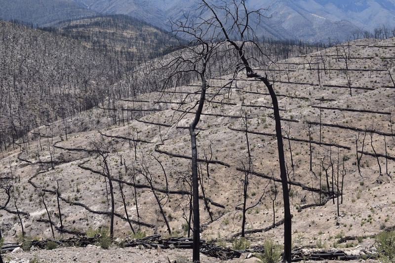 Imagen de Obras de Suelo, Nuevo León
