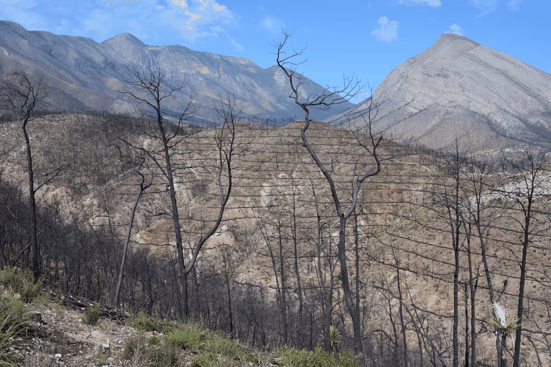 Imagen de Obras de Suelo, Nuevo León
