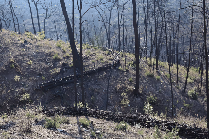 Imagen de Obras de Suelo, Nuevo León