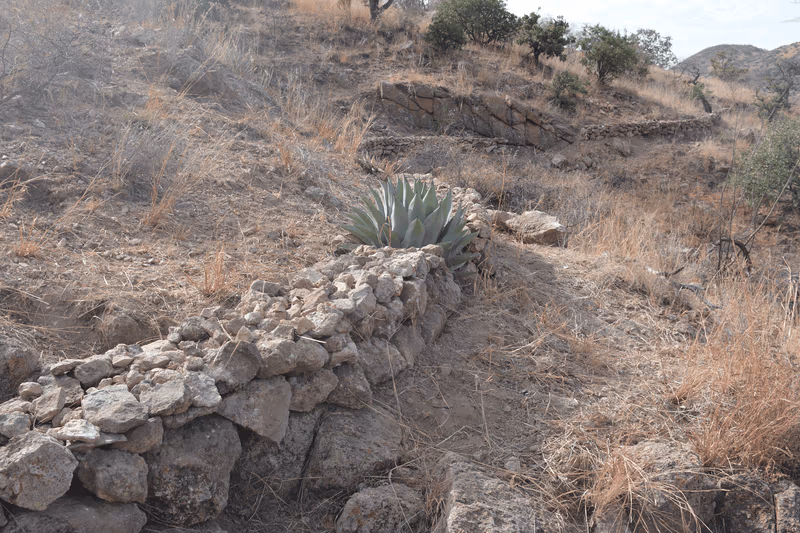 Imagen de San Vicente, Chihuahua
