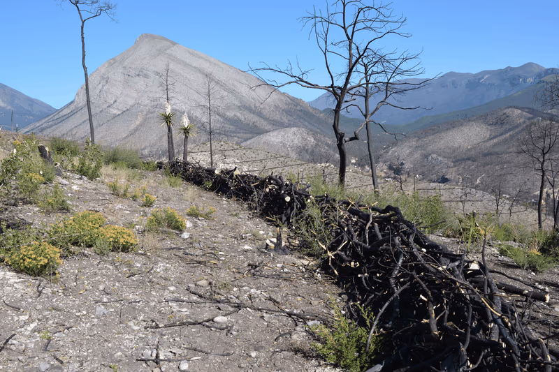 Imagen de Obras de Suelo, Nuevo León