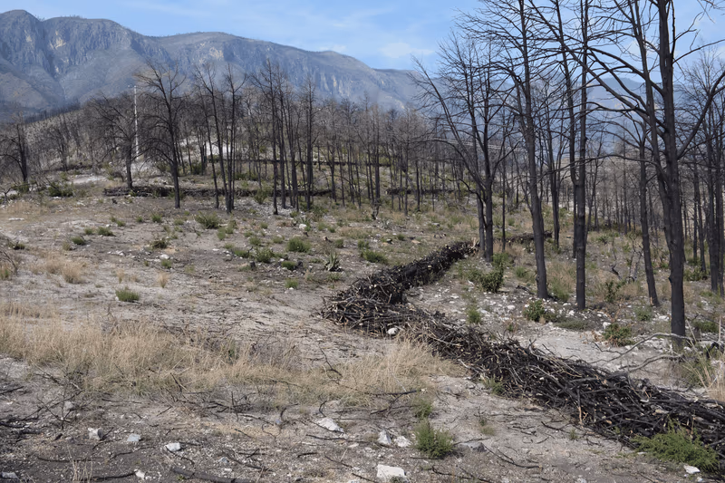 Imagen de Obras de Suelo, Nuevo León