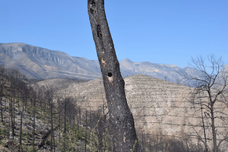 Imagen de Obras de Suelo, Nuevo León