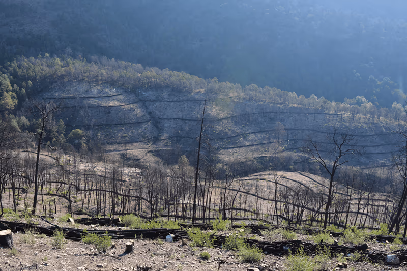 Imagen de Obras de Suelo, Nuevo León