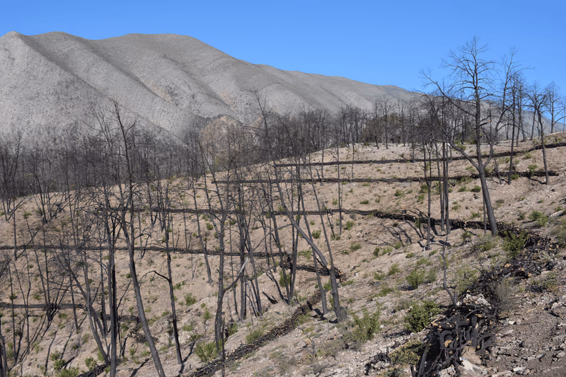 Imagen de Obras de Suelo, Nuevo León