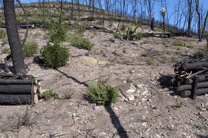 Imagen de Obras de Suelo, Nuevo León