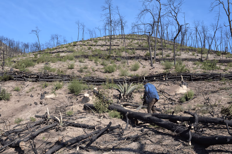 Imagen de Obras de Suelo, Nuevo León