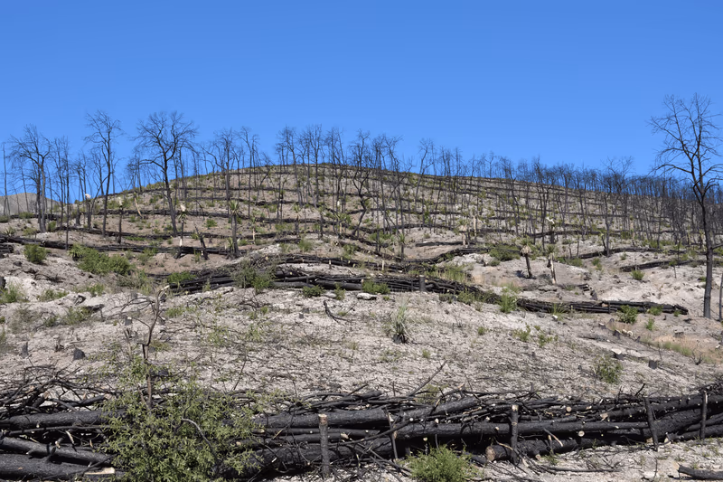 Imagen de Obras de Suelo, Nuevo León