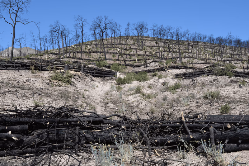 Imagen de Obras de Suelo, Nuevo León