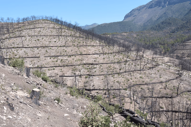 Imagen de Obras de Suelo, Nuevo León