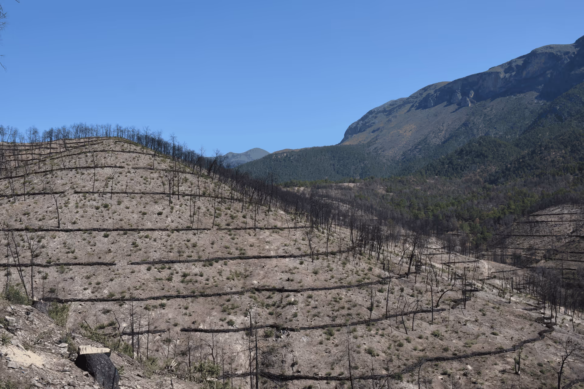Imagen de Obras de Suelo, Nuevo León