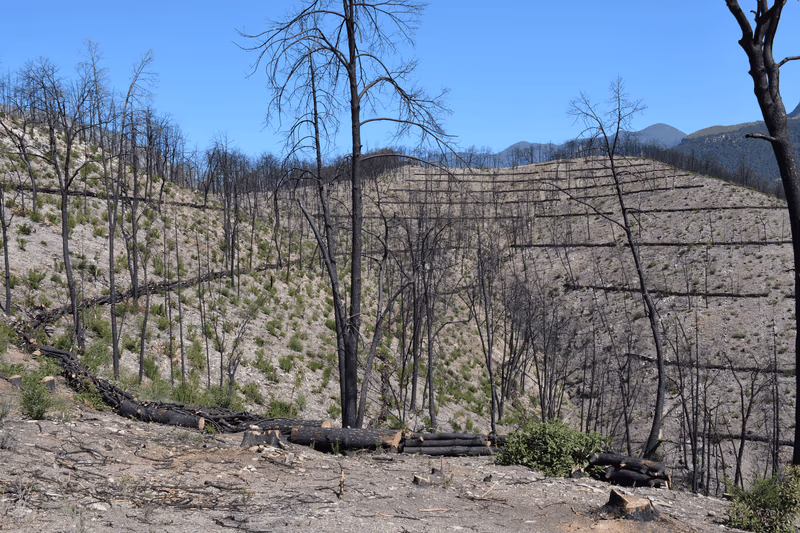 Imagen de Obras de Suelo, Nuevo León