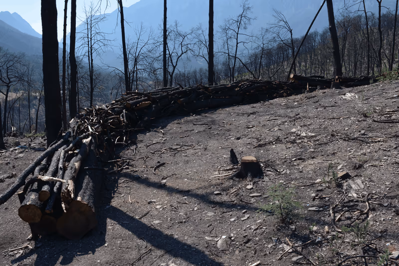 Imagen de Obras de Suelo, Nuevo León