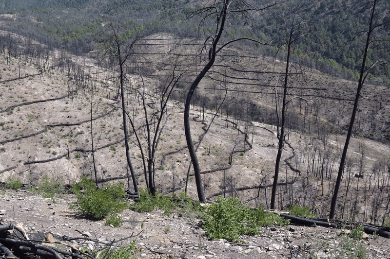 Imagen de Obras de Suelo, Nuevo León