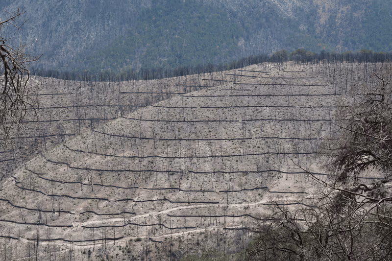 Imagen de Obras de Suelo, Nuevo León