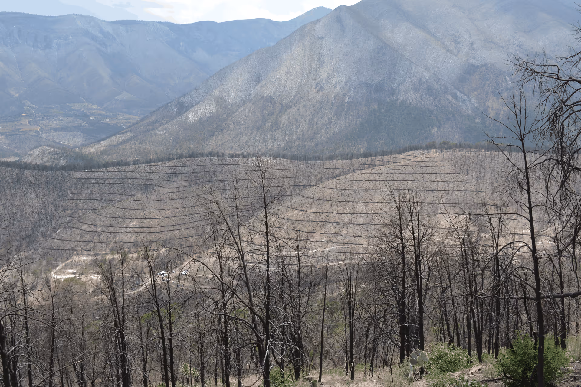 Imagen de Obras de Suelo, Nuevo León