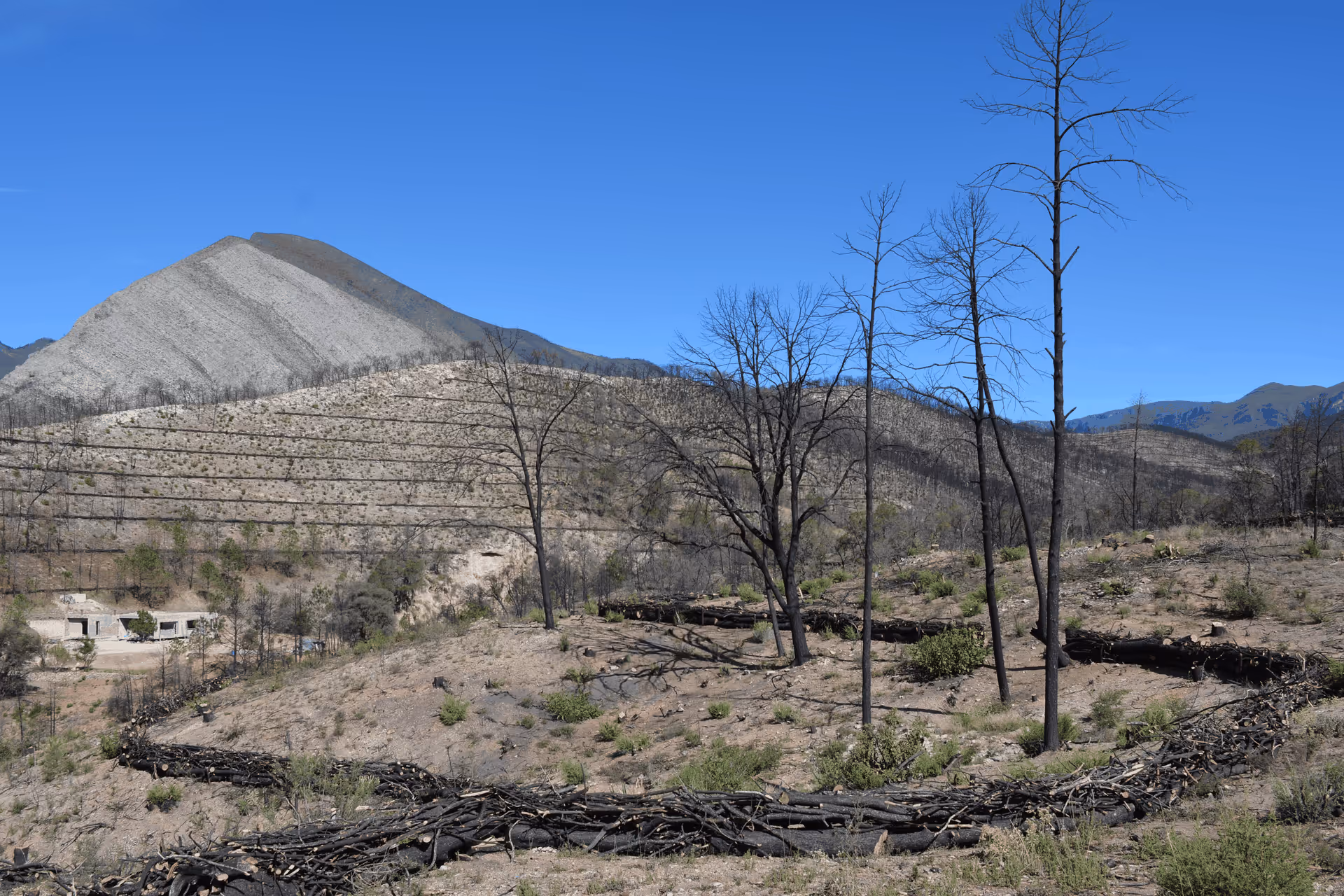 Imagen de Obras de Suelo, Nuevo León
