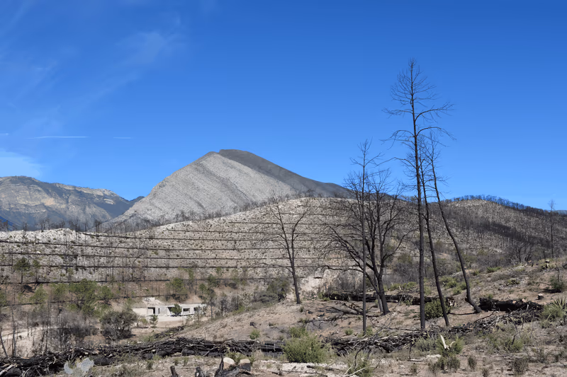 Imagen de Obras de Suelo, Nuevo León