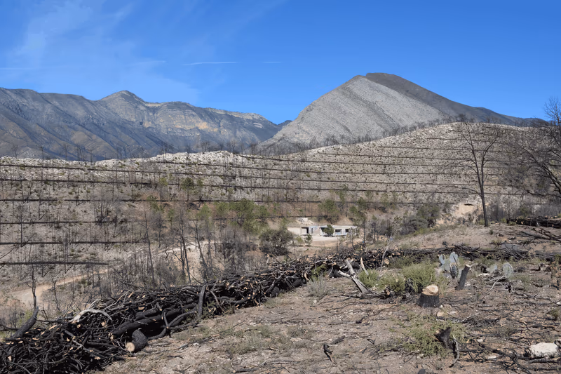 Imagen de Obras de Suelo, Nuevo León